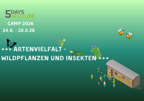Einleitungsbild vom News Beitrag 5Days4Future -Camp 2026