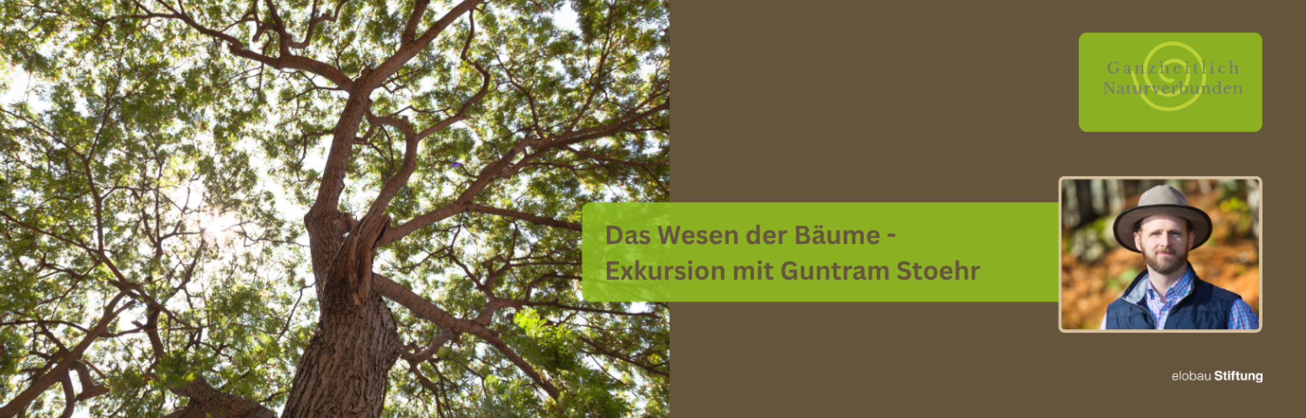 Tagesexkursion: Das Wesen der Bäume - mit Guntram Stoehr