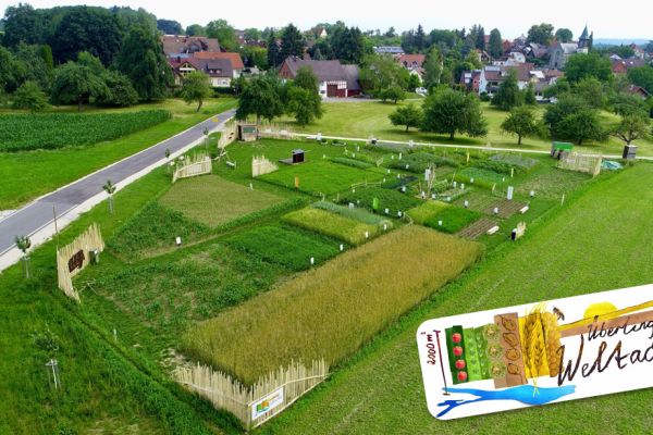 Weltacker - 2.000 qm