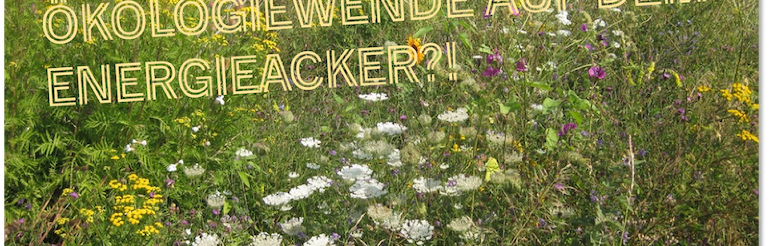 Wildpflanzenbiogas - Online-Info-Abend am Montag, 19.12.22