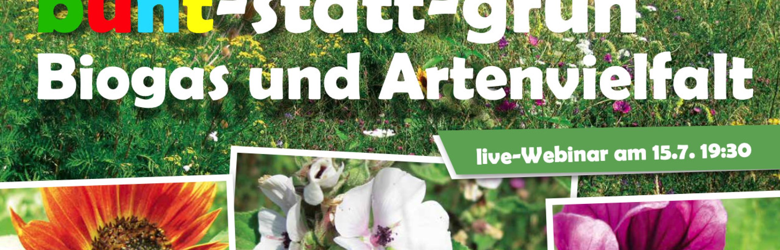 15. Juli 2021: Live-Webinars "bunt-statt-grün - Biogas UND Artenvielfalt"