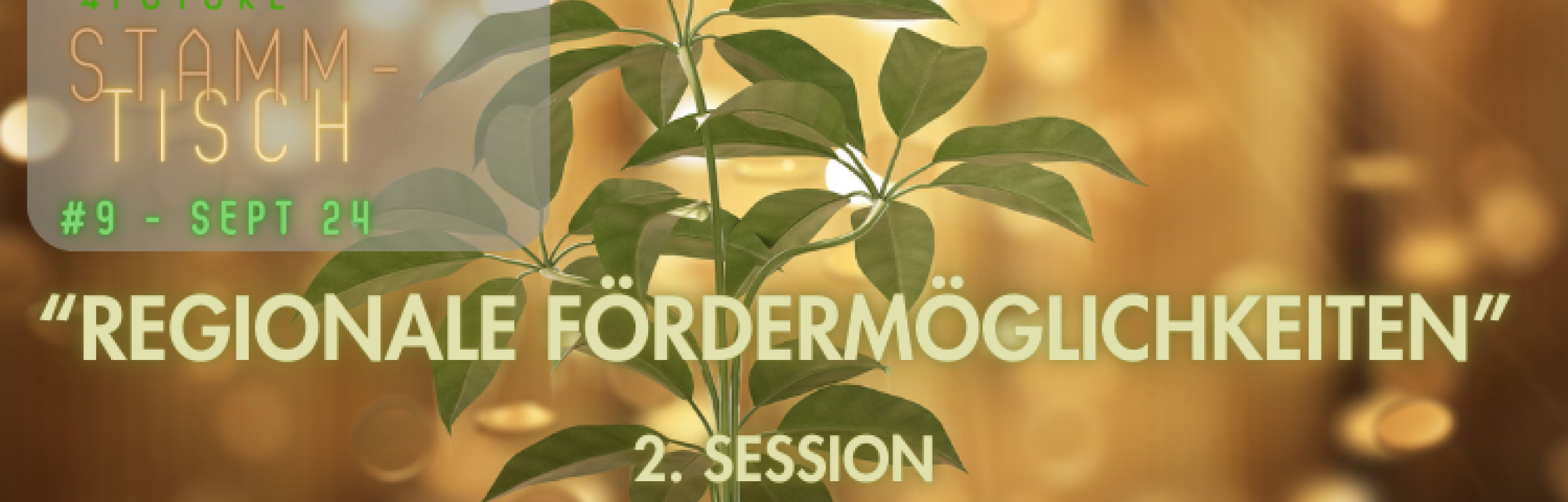 C4F-Stammtisch #9: Regionale Fördermöglichkeiten - 2. Session