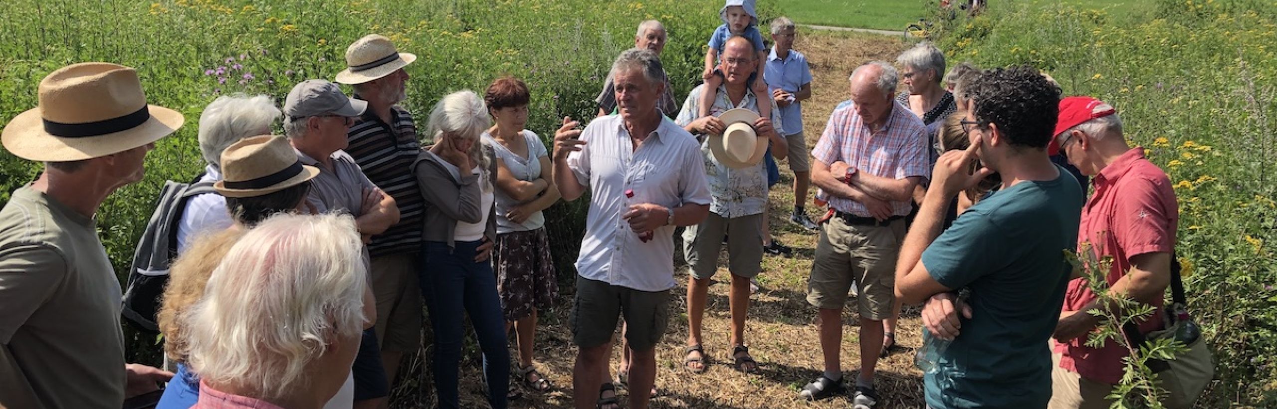 Wildblütenfest am 27. Juli 2019