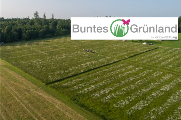 Buntes Grünland