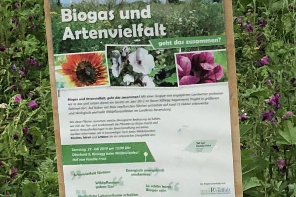 Wildpflanzen - Biogas