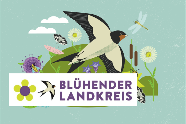 Blühender Landkreis Ravensburg