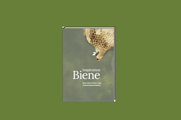 Bienen und Bildung - Aurelia Stiftung