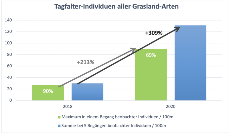 2. Fauna: Explosionsartige Entwicklung der Tagfalter Individuendichte innerhalb 2 Jahren