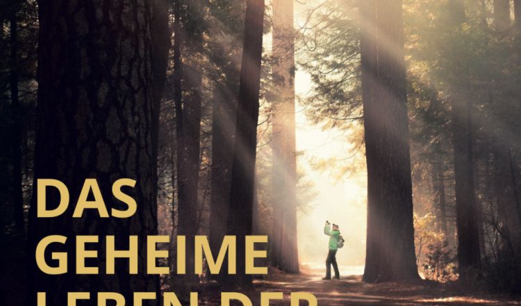 "Das geheime Leben der Bäume" - der Film