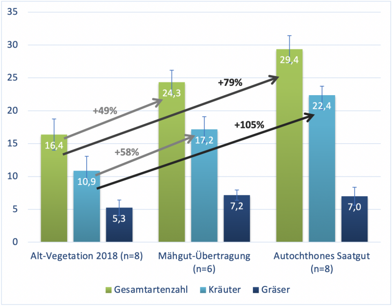 1. Flora: Pflanzenarten auf der Versuchsfläche