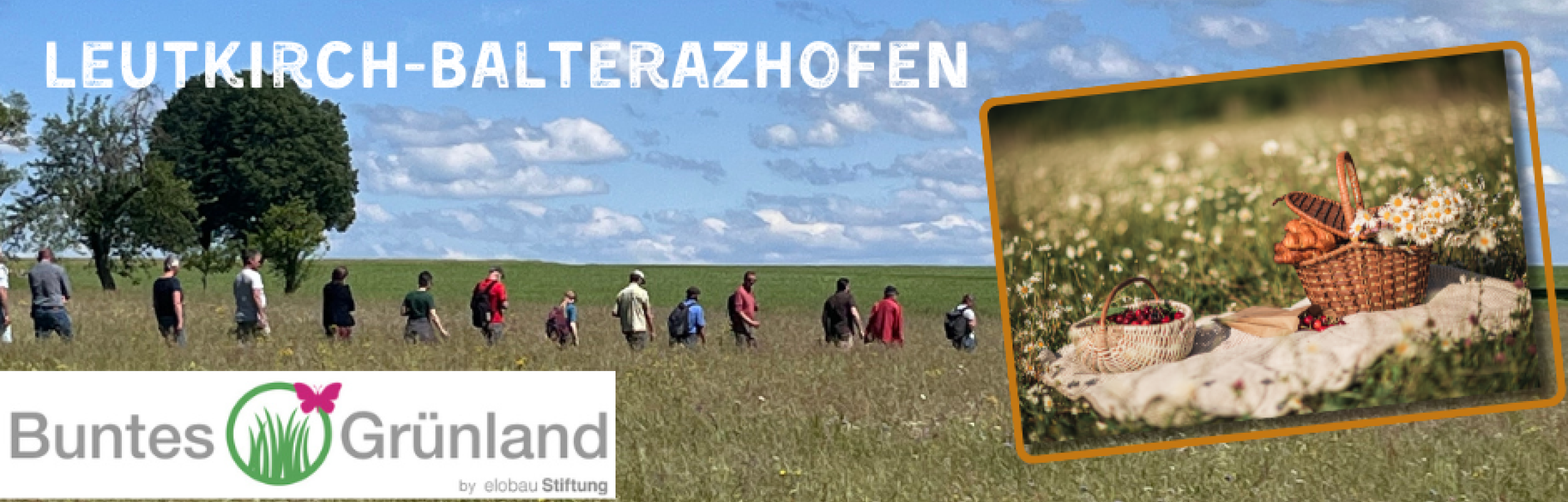 Wiesen-Picknick und Feldführungen
