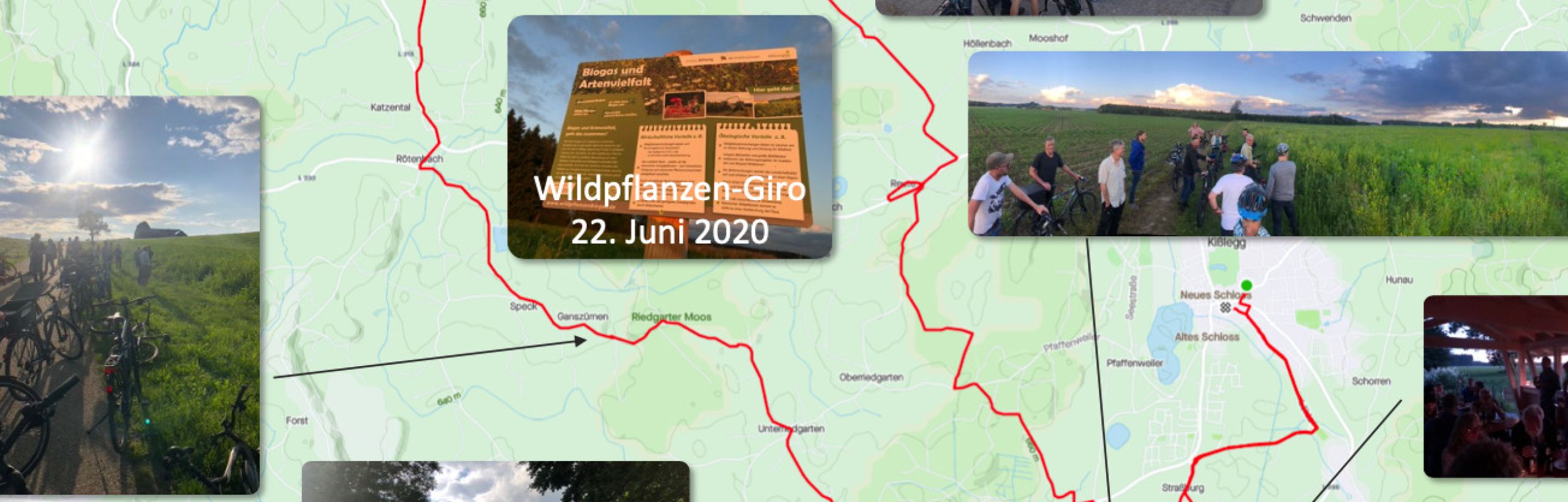 Wildpflanzen-Giro am 22. Juni 2020