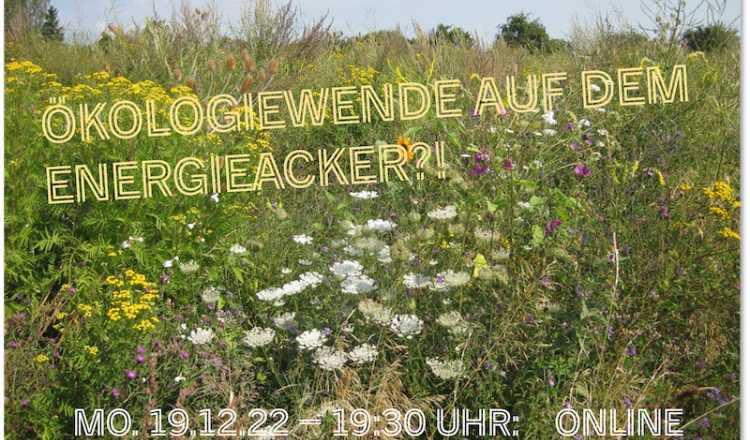 Wildpflanzenbiogas - Online-Info-Abend am Montag, 19.12.22