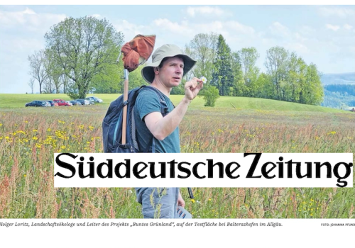 Einleitungsbild vom News Beitrag Süddeutsche Zeitung - Artikel zum Projekt "Buntes Grünland"